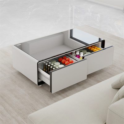 Stromverbrauch 0,38 kw h/24 h Multifunktionskühlschrank für Wohnzimmer