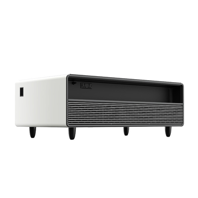 Smart Kühlschrank mit Zwei-Zonen-Temperatur und einstellbarem Thermostat