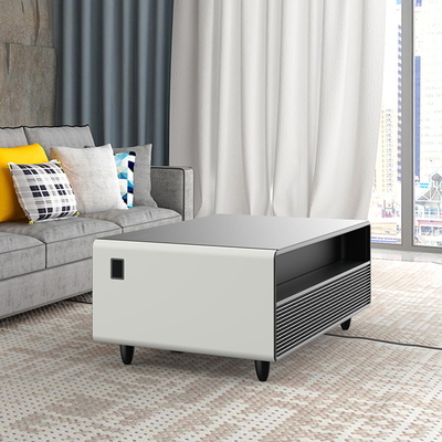 Smart Furniture Kühlschrank mit 70-80 Flaschenladekapazität und eingebauter Lautsprecher