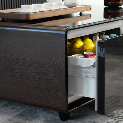 Primst Kaffeetafel 2 Kühlschrank Schubladen 2 USB-Ladestationen Eingebauter Audio-Player