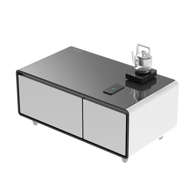 Morden Style Doppeltürer Smart Desktop Kühlschrank mit drahtlosem Laden USB 39KGS