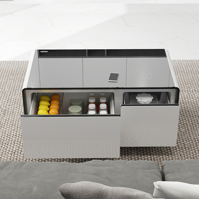 Silk Screen Printing PRIMST 2024 Wireless Charging Kühlschrank Lautsprecher für das Home Office