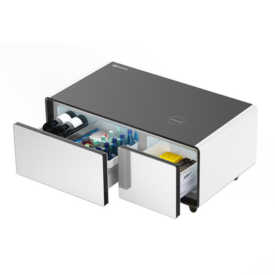 Moderner Design Stil 2024 93L Kleiner Kühlschrank Smart Kaffeetisch Doppeltür Kühlschrank Gefrierschrank