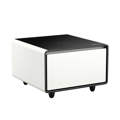 Privater Mould Smart Mini Kühlschrank für Hotel Schlafzimmer Wohnzimmer Möbel Kühlschrank